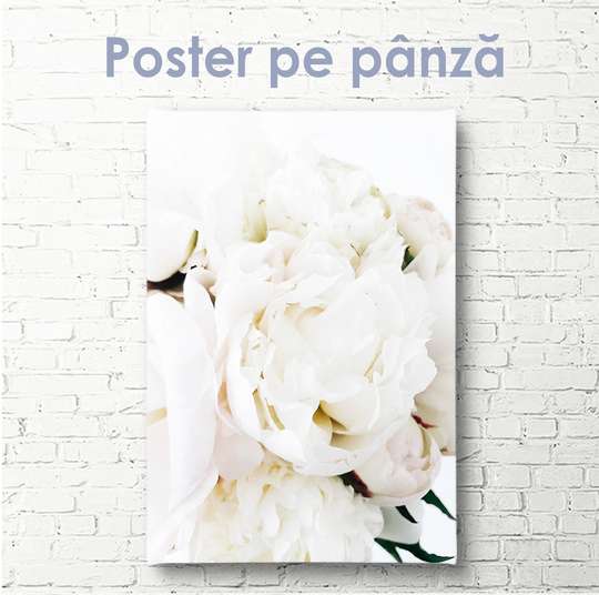 Постер - Белый пион, 30 x 60 см, Холст на подрамнике