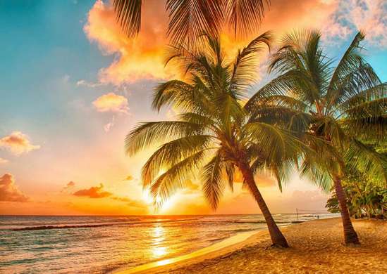 Fototapet - Plaja cu palmieri