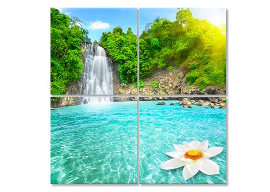 Modular picture, White lily in the water of the waterfall.
