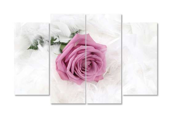 Modular picture, Pink rose on a white background., 198 x 115