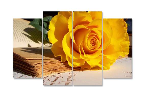 Modular picture, Yellow rose lies on the table, 106 x 60, 106 x 60