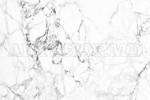 Wall mural - Gray marble texture with white