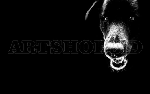 Poster, Black dog, 60 x 30 см, Canvas on frame, Animals