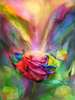 Постер - Разноцветная роза с бабочкой, 30 x 45 см, Холст на подрамнике