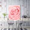 Постер - Розовая Роза в близи, 30 x 45 см, Холст на подрамнике, Цветы