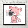 Poster - Cat with a camera, 40 x 40 см, Canvas on frame, For Kids