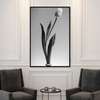 Poster - Black & White Tulip Flower, 30 x 45 см, Canvas on frame, Botanical