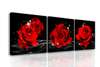 Tablou Pe Panza Multicanvas, Trei trandafiri roșii pe fundal negru, 135 x 45