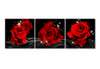 Tablou Pe Panza Multicanvas, Trei trandafiri roșii pe fundal negru, 135 x 45