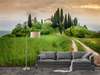 Wall Mural - Road to the house