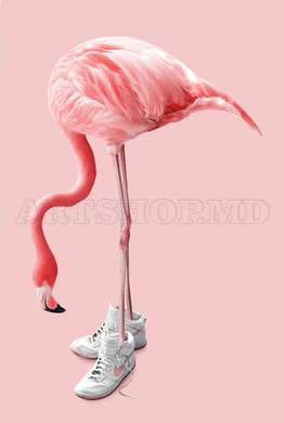 Poster - Flamingo in boots, 60 x 90 см, Framed poster on glass, Animals