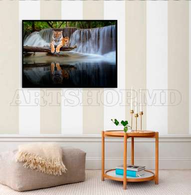 Poster, Graceful tiger on the background of a waterfall, 90 x 60 см, Framed poster on glass, Animals