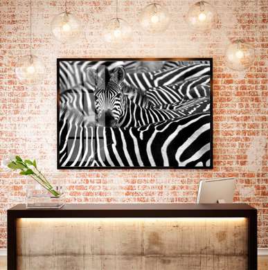 Poster - Zebre alb-negru, 90 x 60 см, Poster înrămat, Alb Negru