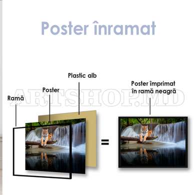 Poster, Tigru grațios pe fundalul unei cascade, 90 x 60 см, Poster inramat pe sticla, Animale