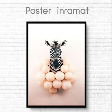 Poster, Zebra with balls, 60 x 90 см, Framed poster on glass, Animals