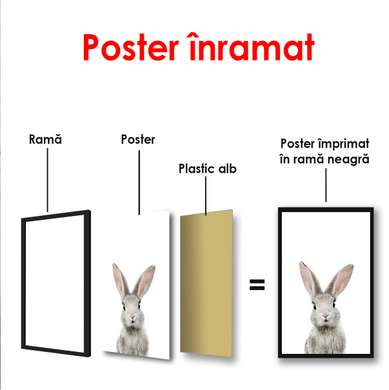 Постер - Заяц на белом фоне, 60 x 90 см, Постер в раме, Минимализм