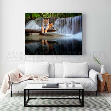 Poster, Graceful tiger on the background of a waterfall, 90 x 60 см, Framed poster on glass, Animals