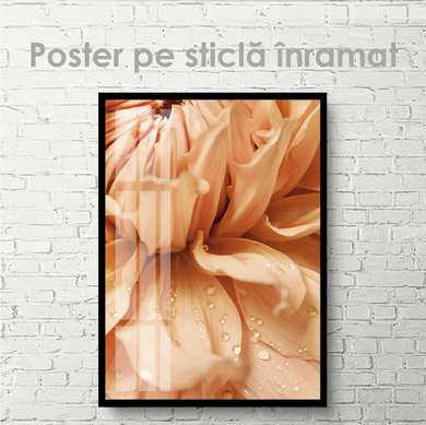 Poster - Flower, 60 x 90 см, Framed poster on glass, Flowers