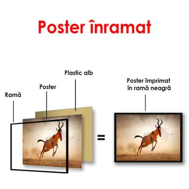 Poster, Capra de munte în deșert, 90 x 60 см, Poster înrămat, Animale