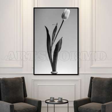 Poster - Black & White Tulip Flower, 60 x 90 см, Framed poster on glass, Botanical