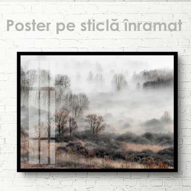 Poster - Ceaţă, 90 x 60 см, Poster inramat pe sticla