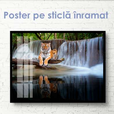 Poster, Graceful tiger on the background of a waterfall, 90 x 60 см, Framed poster on glass, Animals