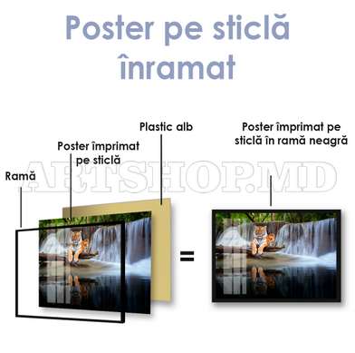 Poster, Tigru grațios pe fundalul unei cascade, 90 x 60 см, Poster inramat pe sticla, Animale