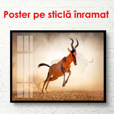 Постер, Горный козел в пустыне, 90 x 60 см, Постер в раме, Животные