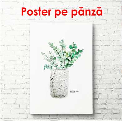 Poster - Floare verde într-un ghiveci, 60 x 90 см, Poster înrămat, Botanică