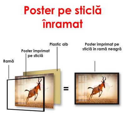 Постер, Горный козел в пустыне, 90 x 60 см, Постер в раме, Животные