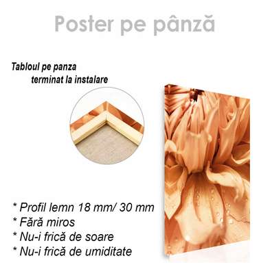 Poster - Floare, 30 x 45 см, Panza pe cadru