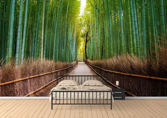 Wall Mural - A walk in the bamboo forest