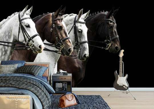 Wall Murall - White and black horses