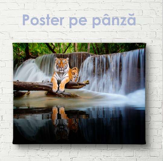 Постер, Грациозный тигр на фоне водопада, 45 x 30 см, Холст на подрамнике, Животные