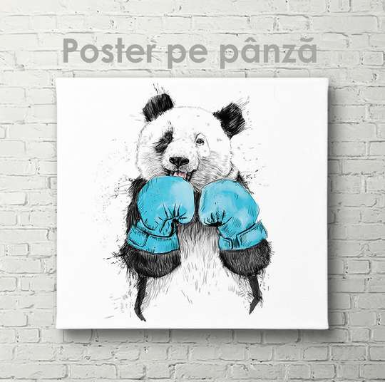 Постер, Спортивная Панда, 40 x 40 см, Холст на подрамнике, Животные
