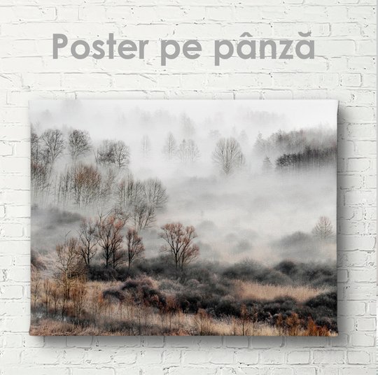 Poster, Ceaţă, 45 x 30 см, Panza pe cadru