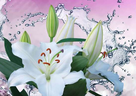 Фотообои - Белые лилии и брызги воды