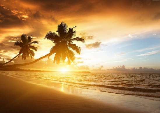 Fototapet - Palmieri pe malul mării
