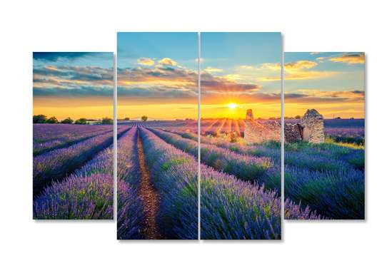 Modular picture, Lavender field., 198 x 115
