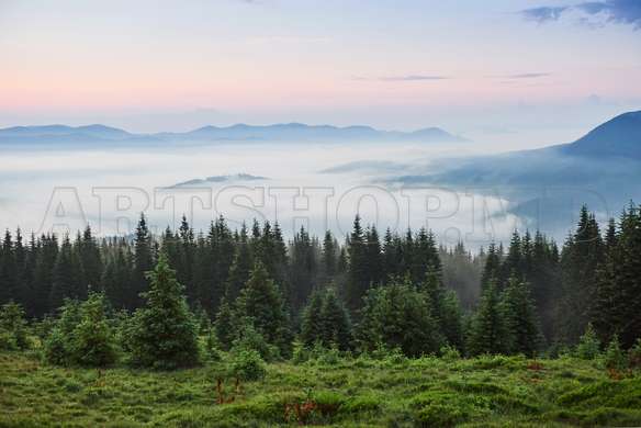 Modular picture, The forest with fog, 206 x 115