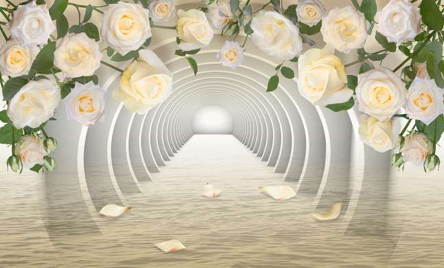 3Д Фотообои - 3Д Тоннель и кремовые розы