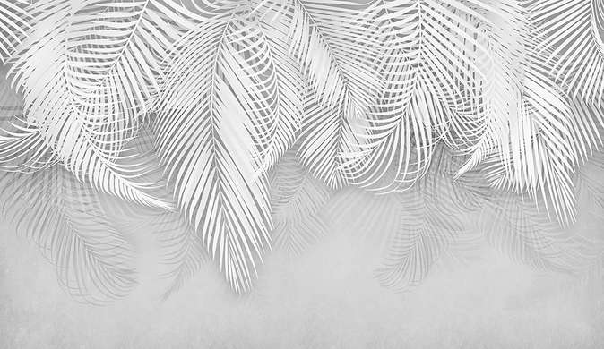 Фотообои - Тропические пальмовые листья на сером фоне