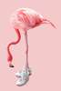 Poster - Flamingo in boots, 60 x 90 см, Framed poster on glass, Animals