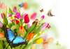 Фотообои - Букет разноцветных тюльпанов и бабочки