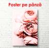 Poster - Bujori roz pal, 30 x 60 см, Panza pe cadru, Botanică