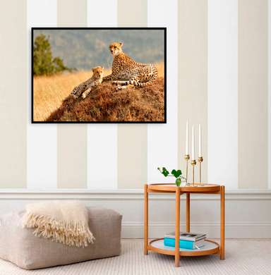 Постер, Грациозные гепарды, 45 x 30 см, Холст на подрамнике, Животные