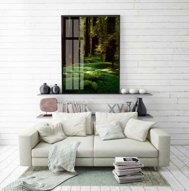Poster - Green forest and tall trees, 30 x 45 см, Canvas on frame