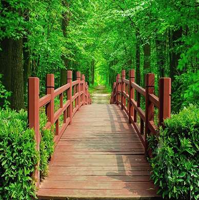 Fototapet - Pod în pădurea verde