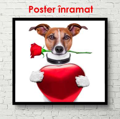 Poster - Câine cu trandafir și inimioară, 100 x 100 см, Poster înrămat