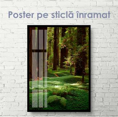 Poster - Pădure verde și copaci înalți, 30 x 45 см, Panza pe cadru, Natură